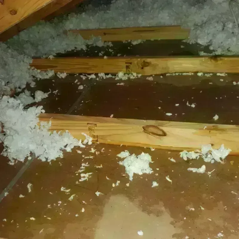 Attic Water Damage in South Zanesville, OH